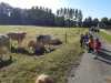 IMG-20211008-WA0015