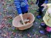 IMG_20211008_100406