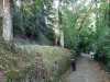 IMG-20211014-WA0007