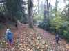 IMG-20211118-WA0007