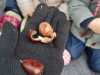 IMG-20211118-WA0028