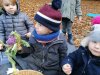 IMG_20211118_103934