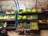 IMG-20211112-WA0016