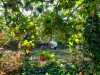 IMG-20210924-WA0028